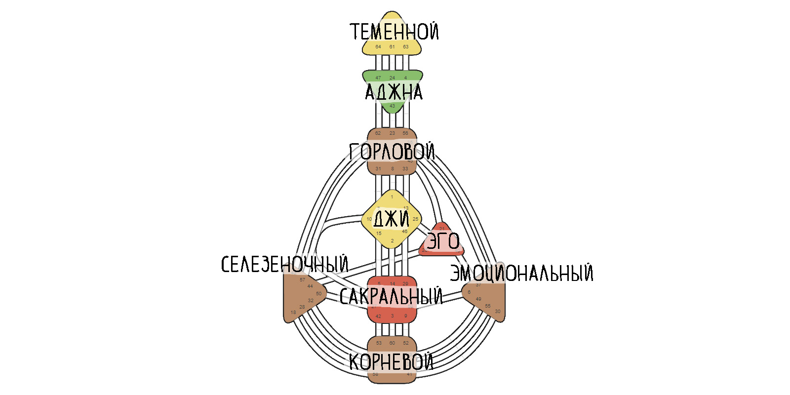 Центры и их названия в бодиграфе